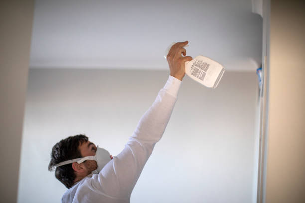 Best Attic Mold Remediation in Lmyra, PA