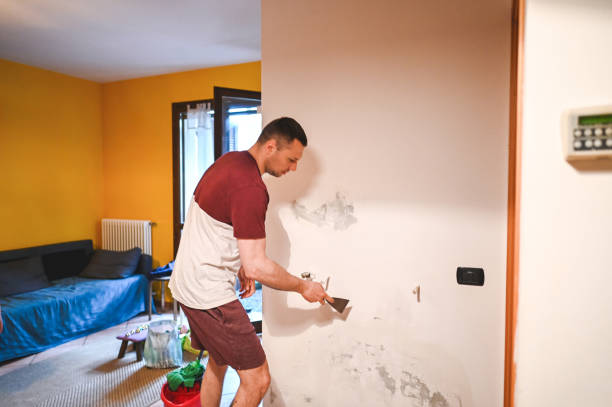 Trusted Palmyra, PA Mold Remediation Experts
